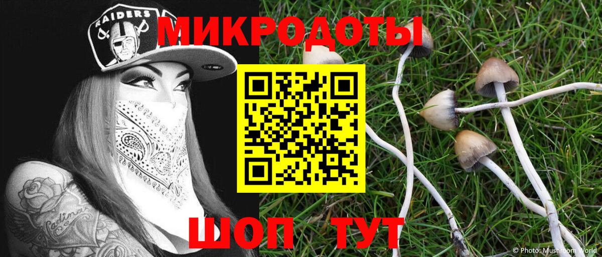 Псилоцибиновые грибы прущие грибы  Вход с VPN  Псилоцибиновые грибы GOLDEN TEACHER  Астрахань 